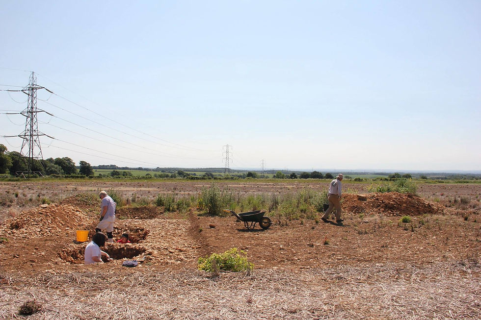 Bagendon Project 2012. Judy Joklik